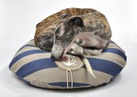 paraperro_bootsmann_2