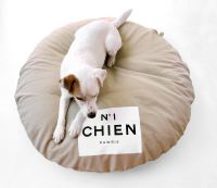 paraperro_chien_no1