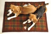 paraperro_harris_tweed_6_1