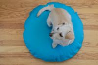 paraperro_hundekissen_hundvonwelt2