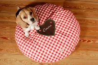 paraperro_hundekissen_liebkuchen_1