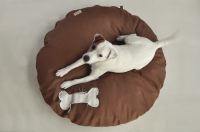 paraperro_hundeschlafplatz_gourmand_1