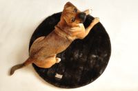 paraperro_plaid_mink_1