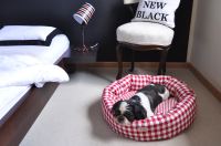 paraperro_tubed_checks_1