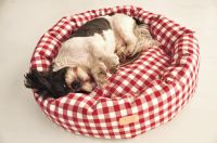 paraperro_tubed_checks_2