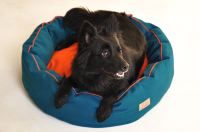 paraperro_tubed_petrol_4