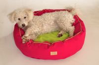 paraperro_tubed_pink_2