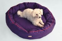 paraperro_tubed_violet_2